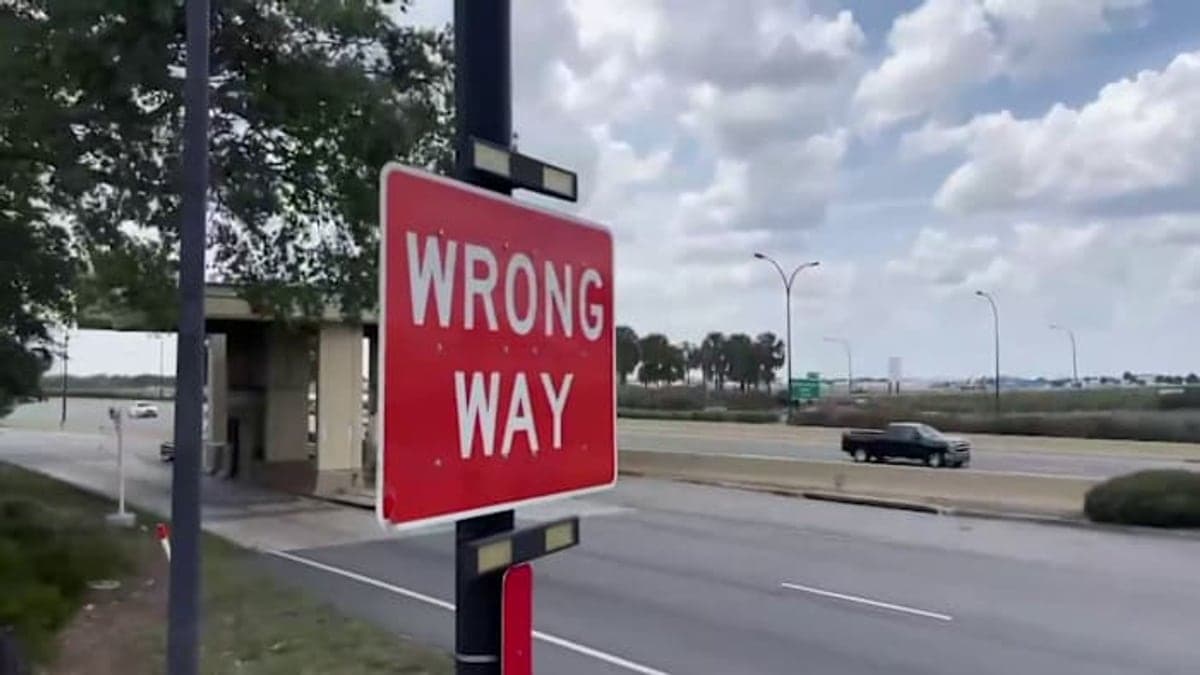 Trecho das rampas da State Road 429 perto da Schofield Road com placas e sinais vermelhos de 'Wrong Way', palmeiras e céu claro ao fundo.