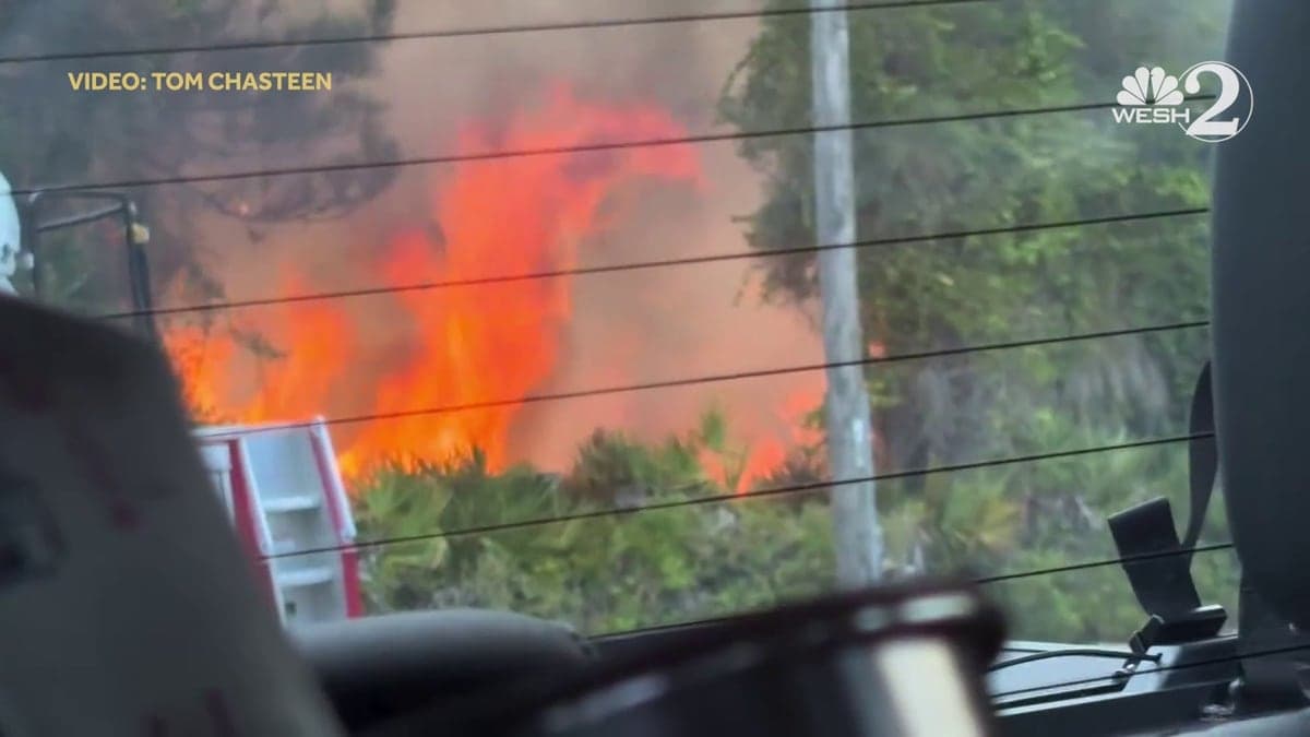 Cruzamento de rua suburbana com árvores e áreas de vegetação sob céu azul e algumas nuvens, prédios baixos ao fundo