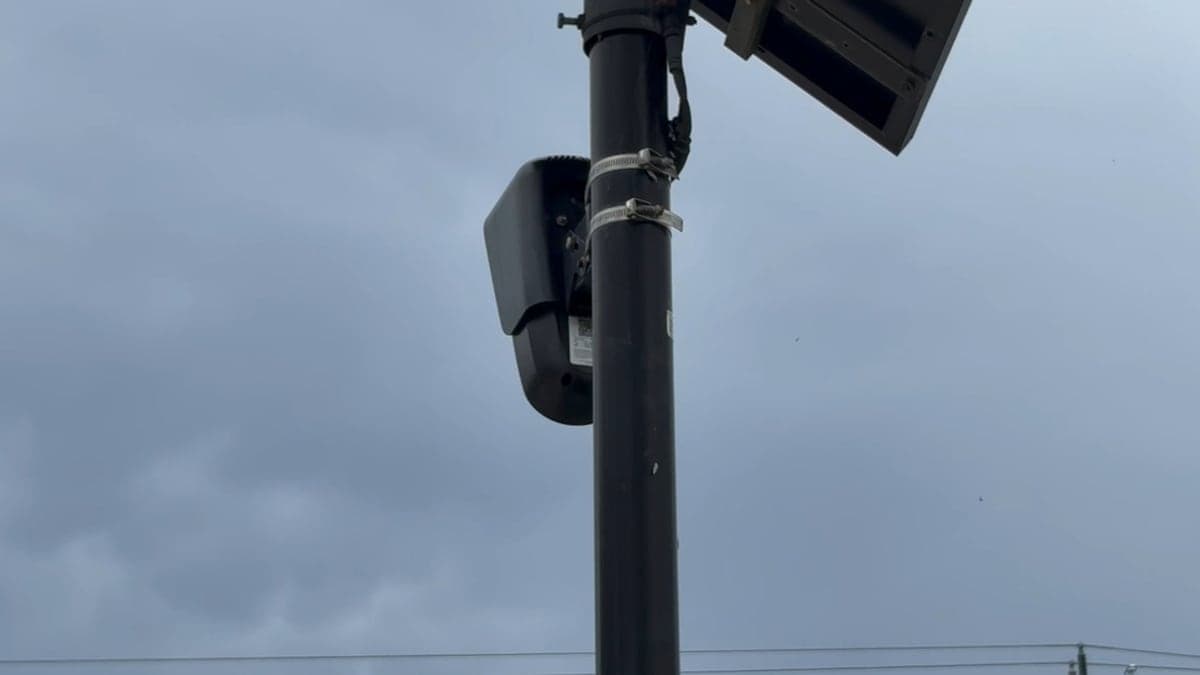 Rua pública típica em Palm Bay, Flórida, com casas residenciais, palmeiras e céu claro durante o dia