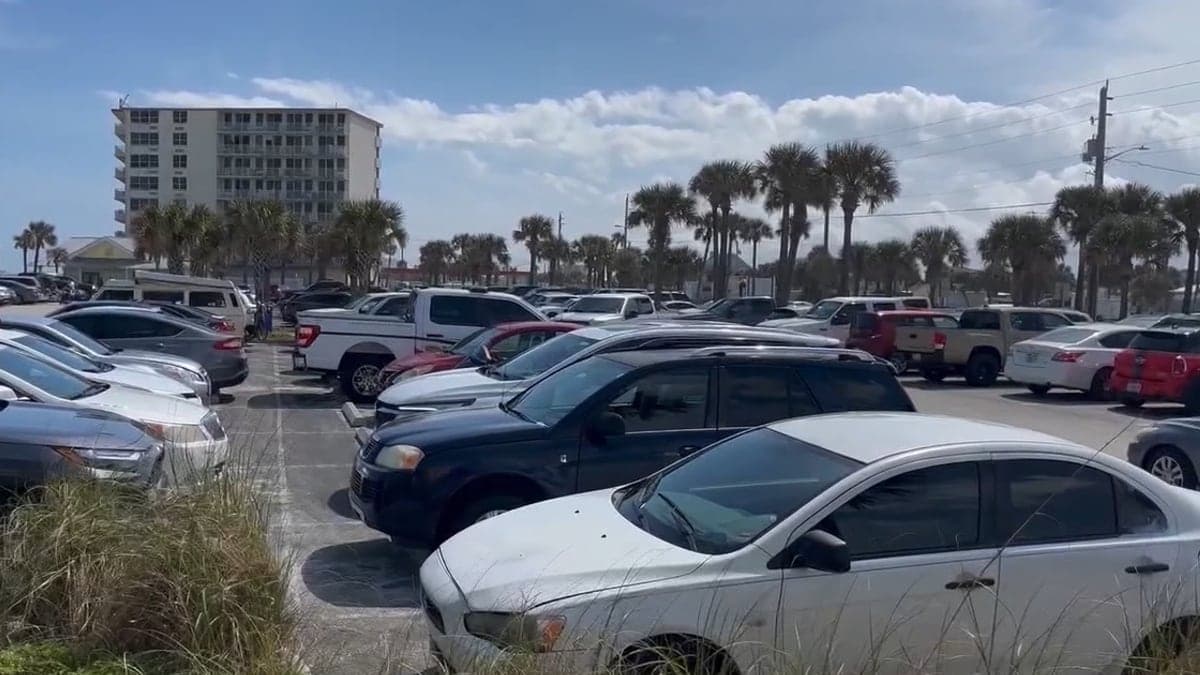 Rua no centro de New Smyrna Beach com palmeiras, prédios baixos de estuque e um estacionamento ao lado da via, sob céu ensolarado