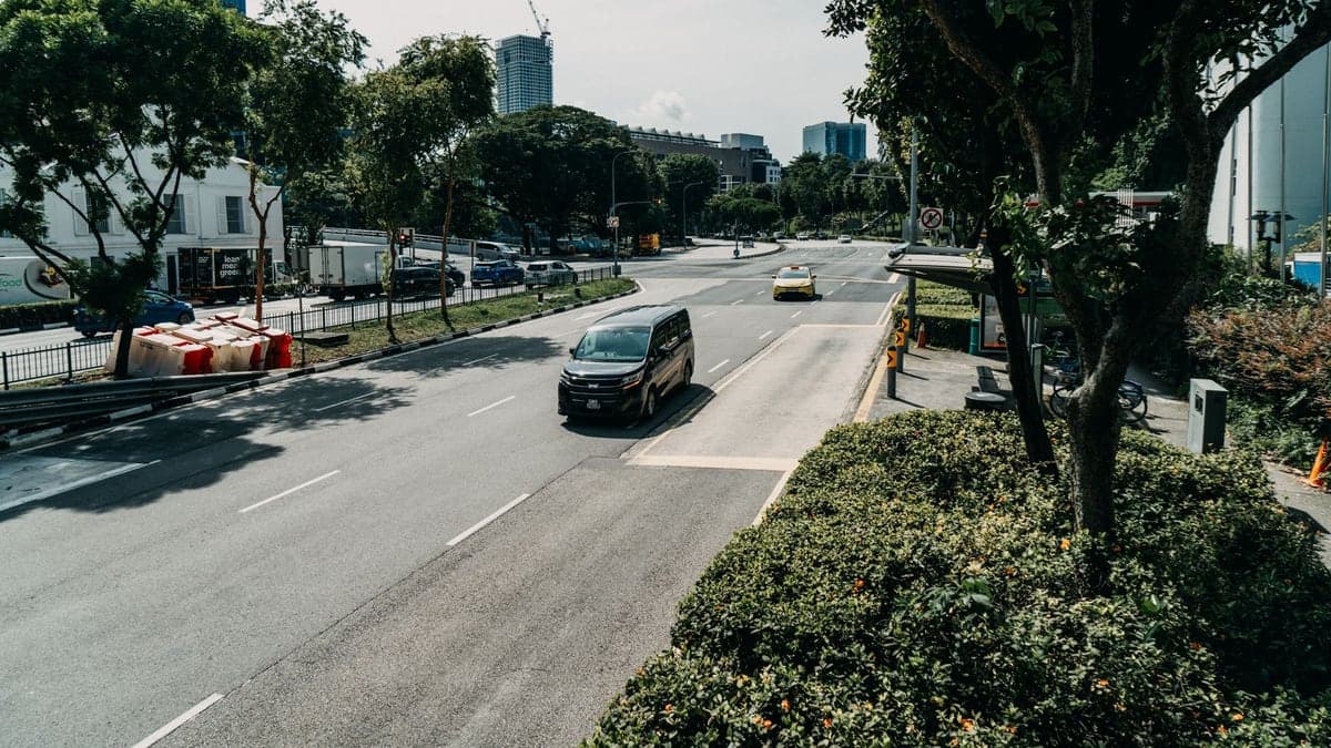 Vista de uma via de trânsito movimentada com faixas de ônibus, carros e árvores ao redor durante o dia
