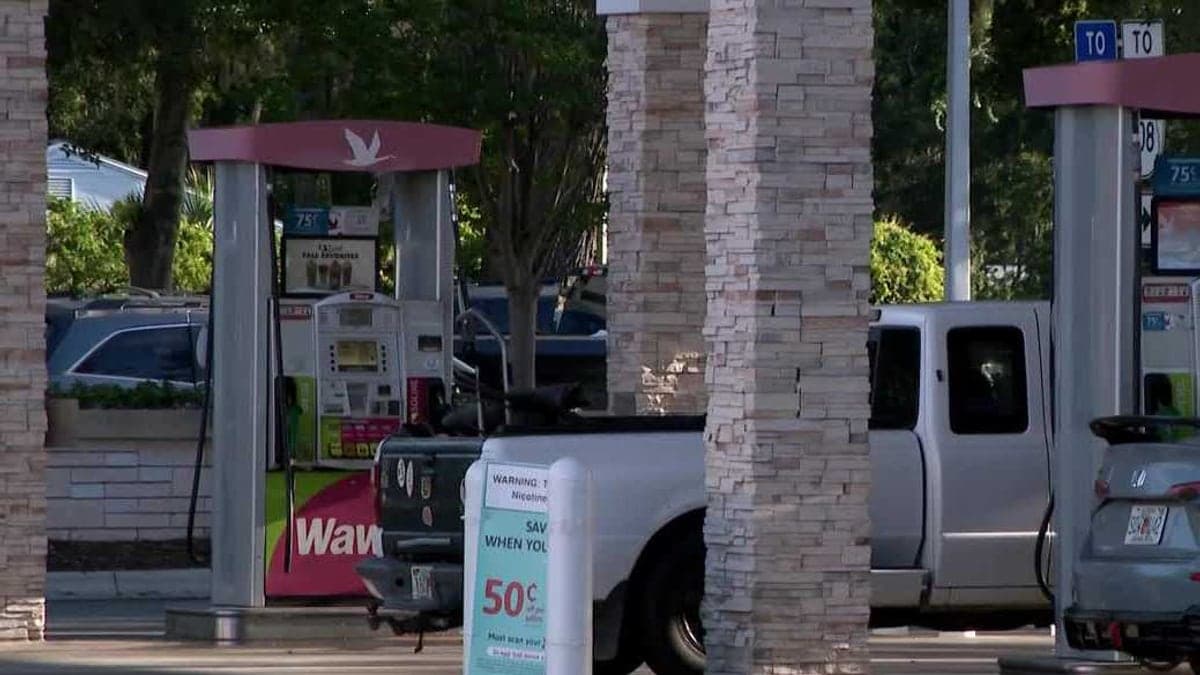 posto de gasolina com várias bombas de combustível, carros estacionados e palmeiras próximas, além do letreiro com preços em destaque