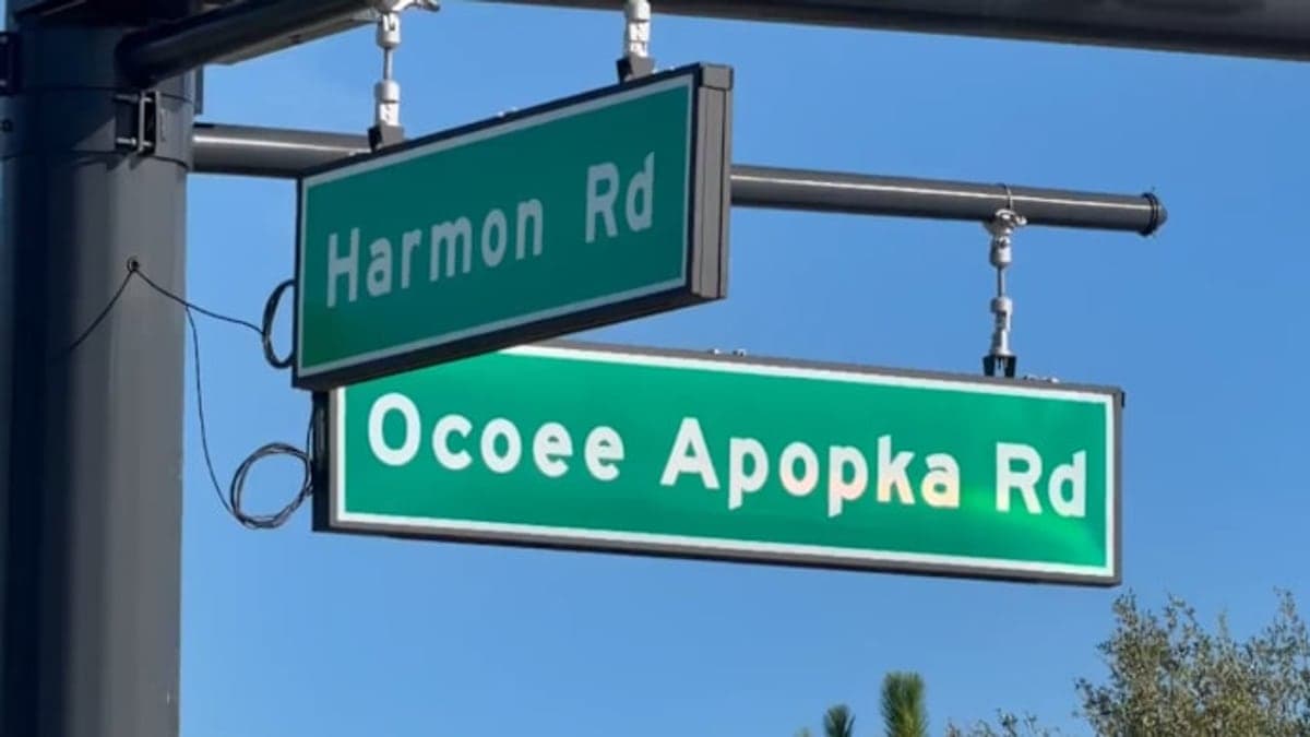 trecho da Ocoee-Apopka Road no condado de Orange durante o dia, com estrada de duas faixas, árvores ao redor e alguns carros