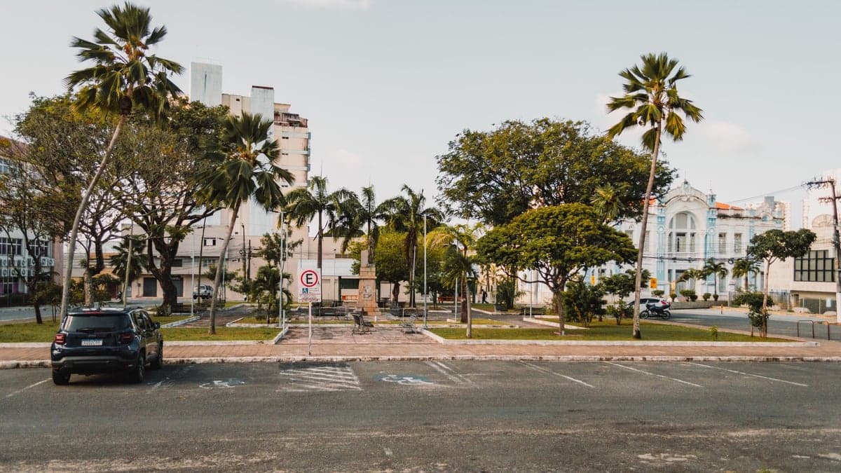 Vista de um estacionamento com alguns carros estacionados, palmeiras ao fundo e uma praça ao fundo durante o dia