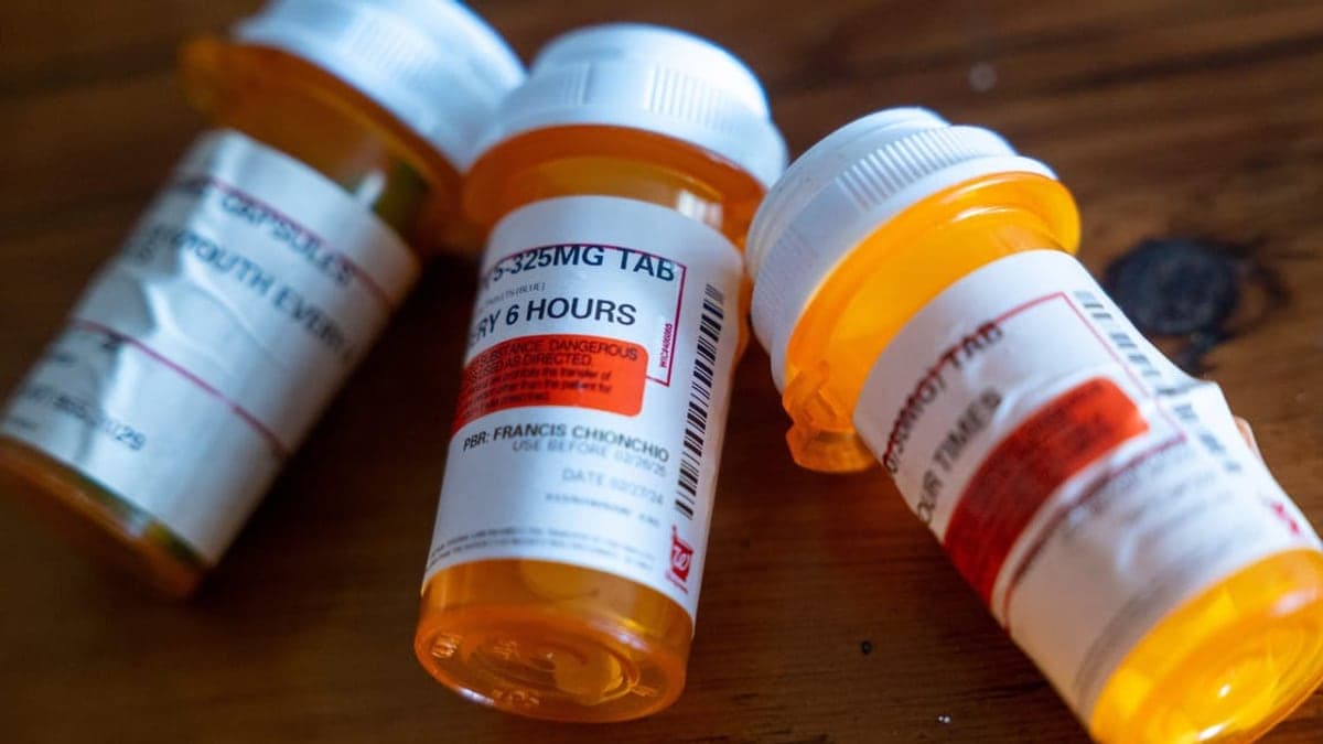 recipiente público para descarte de medicamentos no estacionamento de uma delegacia nos Estados Unidos em dia ensolarado, com palmeiras e céu azul ao fundo