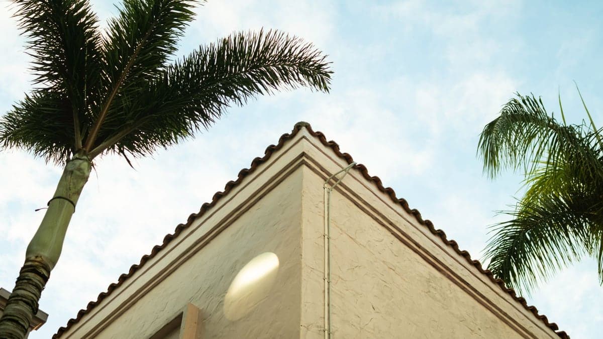 céu azul com poucas nuvens, duas palmeiras altas ao lado de um edifício claro com telhado de cerâmica