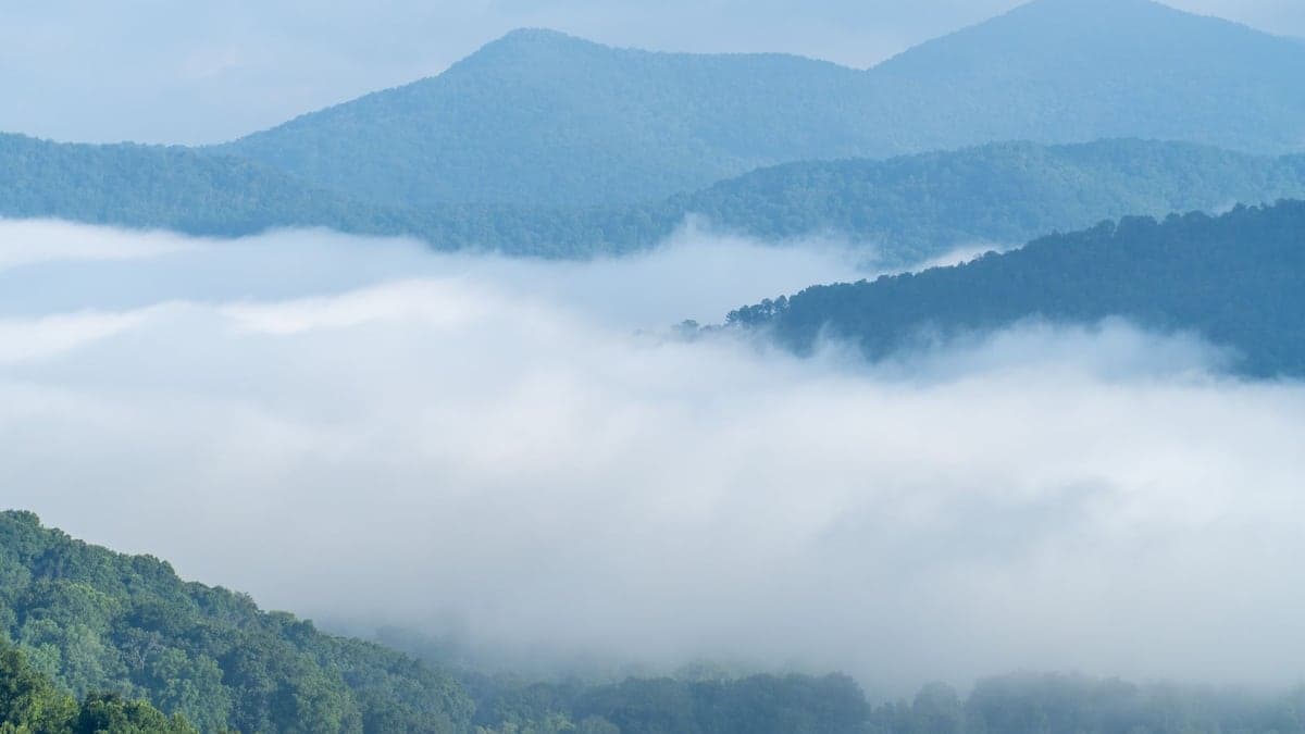 vista panorâmica de uma região montanhosa com árvores cobertas por neblina baixa
