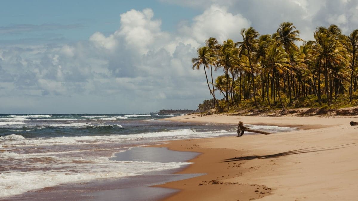 Praia com céu nublado, mar com ondas e palmeiras ao fundo, mostrando potencial de vento e clima instável
