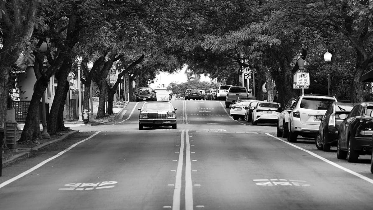 Rua urbana com árvores nas calçadas, carros estacionados dos dois lados e poucos veículos em uma via de mão dupla.