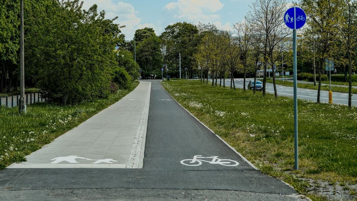 Ciclovia separada para bicicletas e calçada para pedestres ao lado de uma avenida com árvores e sinalização azul indicando compartilhamento