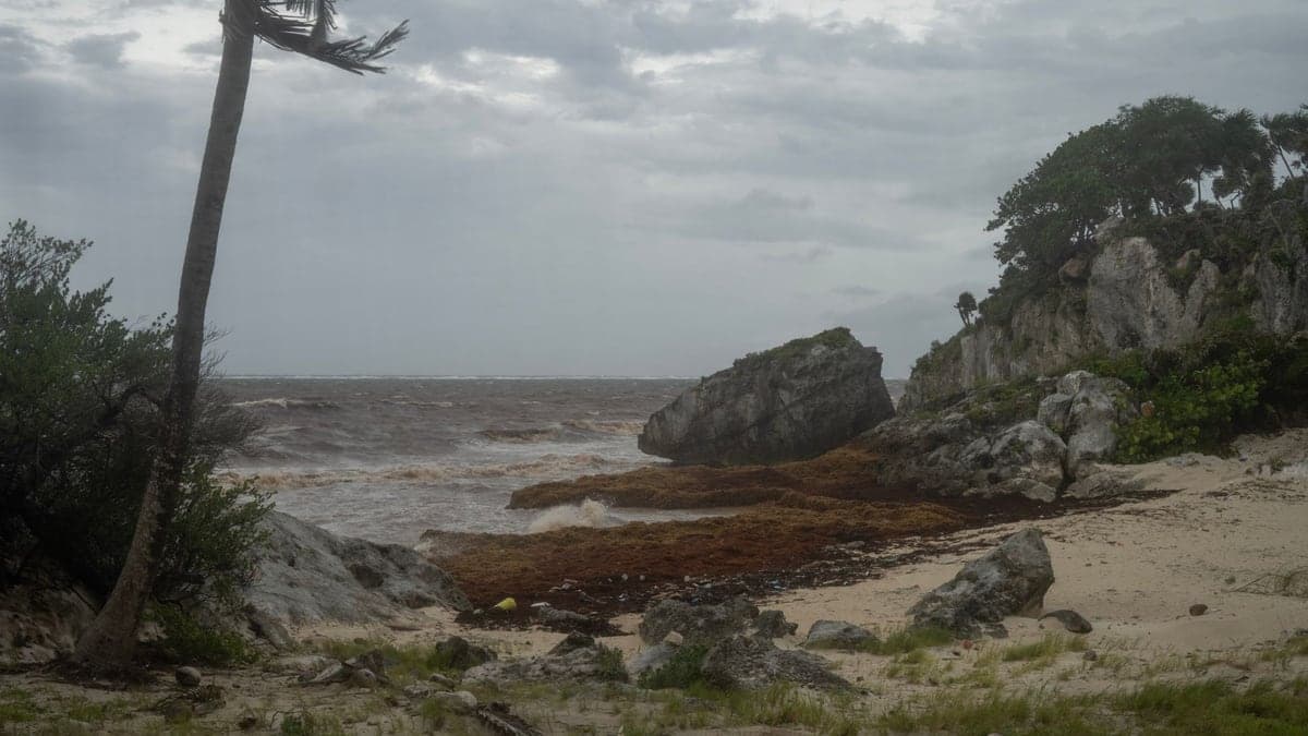 Praia com céu nublado, mar agitado e vegetação próxima à areia.